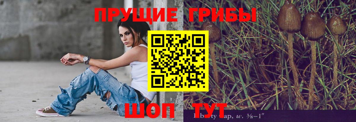 наркошоп  Псилоцибиновые грибы MAGIC MUSHROOMS  Вход с VPN  Барнаул 